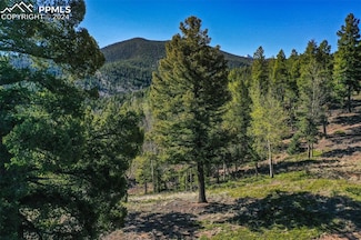 1100 Elkridge S, Divide, CO 80814