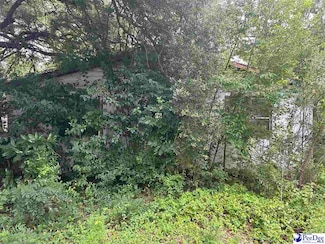 439 N Keith St, Timmonsville, SC 29161