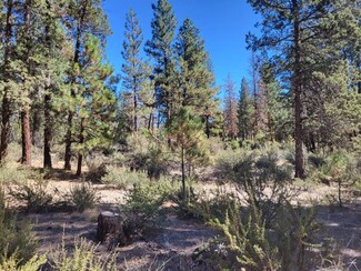 Lot  8 Sleepy Hollow Rd, Dorris, CA 96023
