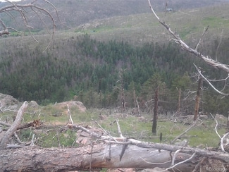 0 E 1 2 of Se 1 4 of Nw 1 4 25-8-71 Unit REC3374347, Bellvue, CO 80512