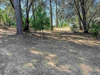 13-358 Pine Mountain Dr, Groveland, CA 95321