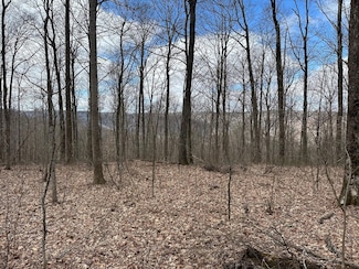 126+/- Acresnorthcutts Cove Rd, Beersheba Springs, TN 37305