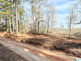 0 County Road 700 Unit B 21409411, Roanoke, AL 36274