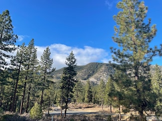 160 Walton Toll Rd, Carson City, NV 89705