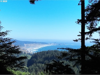 26665 Sebastian Ln, Goldbeach, OR 97444