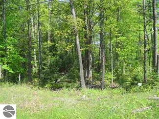 Lot 30 Hidden Dunes Ln Unit 30, Kewadin, MI 49648