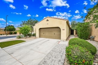 224 E Locust Dr, Chandler, AZ 85286
