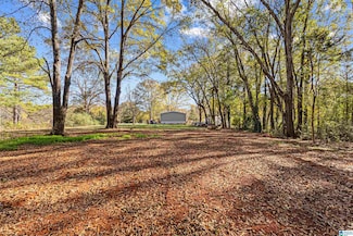 236 Chandler St, Talladega, AL 35160