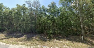 10210 N Dyal Dr, Citrus Springs, FL 34434