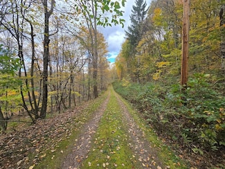 0WP Glen Burnie Rd Lot Unit WP001, Delhi, NY 13753