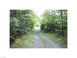 12315 Williams Rd, Homerville, OH 44235