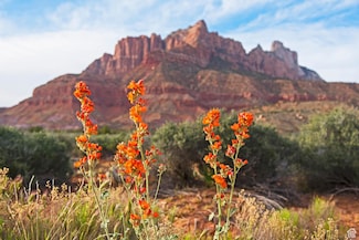 2538 Anasazi Way Unit 58, Springdale, UT 84767