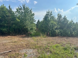 10.25 AC Rock Spring Rd, Center Cross, VA 22437