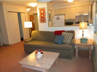 28-201 Packards Rd Unit 201, Waterville Valley, NH 03215