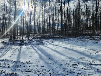 494 Turkey Ln, Little Meadows, PA 18830