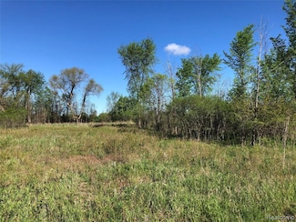 Parcel E Graham Rd, Imlay City, MI 48444