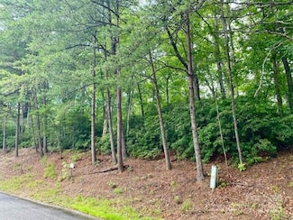 0 Quail Ridge Rd Unit 164 CAR4273351, Lake Lure, NC 28746