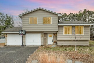 6591 Black Duck Dr S, Circle Pines, MN 55014