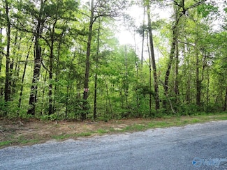 Lot 59 Oak Leaf Ct, Jasper, AL 35504