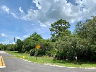Lot 22 Alder Ct, Eustis, FL 32736