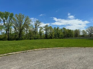 0 Black Duck Ct Unit 5036635, Howland Township, OH 44410