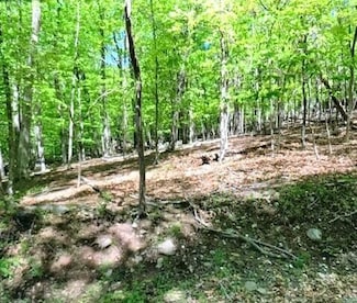 0 Highland Terrace, Smithfield Township, PA 18301