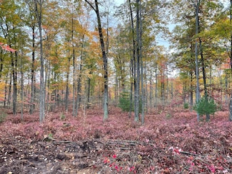 Par D School Rd, Markey Township, MI 48653