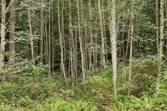 0 Lot D Saratoga Rd, Langley, WA 98260