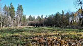 0 Jackson Hwy Unit NWM2453235, Toledo, WA 98591