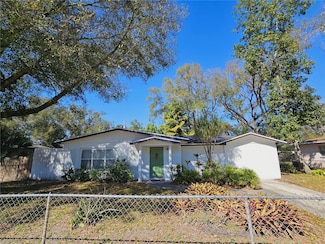 4434 Perch St, Tampa, FL 33617