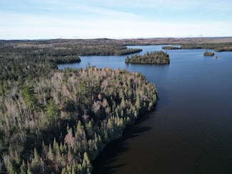 Lot 3 Fullerton Rd, Hovland, MN 55606