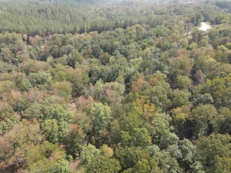 0 Bear Creek Rd Unit RTC3016083, Waverly, TN 37185