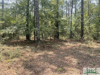 0 (Tract #1) Indigo Rd, Springfield, GA 31329