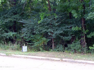 0 Woodbridge Dr Unit 4124242, Madison, MS 39110