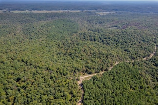 120 County Road 411, Fredericktown, MO 63645