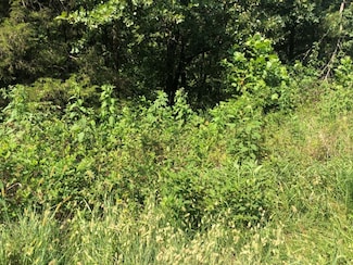 Lot 19 Lockhart Ln, Bella Vista, AR 72715