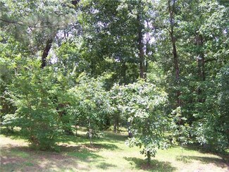 0 St Andrews Ct Unit 3201338, Counce, TN 38326