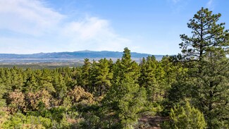 0 Twin Creek Rd Unit 24-991, Rockvale, CO 81226