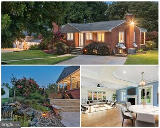 1116 Briggs Chaney Rd, Silver Spring, MD 20905