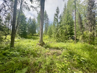 xxxx Cedar Creek Rd, Colville, WA 99114