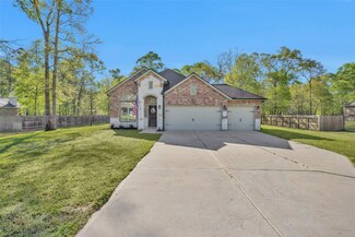 9159 Silver Back Trail, Conroe, TX 77303