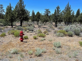 Unit 8-2 Lot 30 Lakeside Ct Unit 8-2, Weed, CA 96094