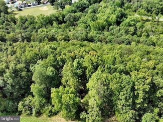 0 Green Tree Dr, Landingville, PA 17942