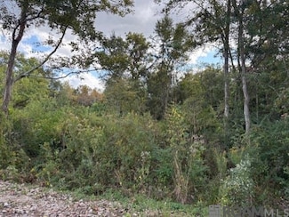 0 Cornerview Rd Unit 2025020649, Gonzales, LA 70737