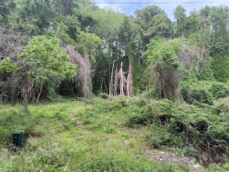 Lot 43 Craddock Neck Rd Unit 43, Craddockville, VA 23341