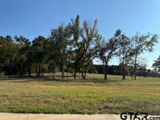 6877 Lazy Vale Ct, Tyler, TX 75703