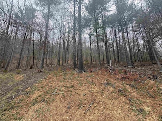 TBD River Oaks Dr, Austinville, VA 24312
