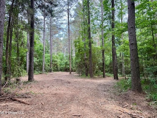 0 Stephens Rd, Durant, MS 39063