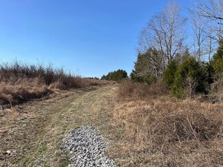 0 Weston Rd Unit LotWP001, Marion, KY 42064