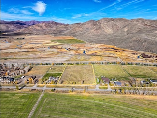 771 1st St, Picabo, ID 83348